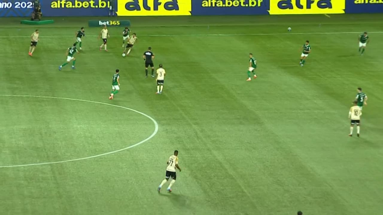 Ex-jogador comenta polêmica em Palmeiras x Vasco: 