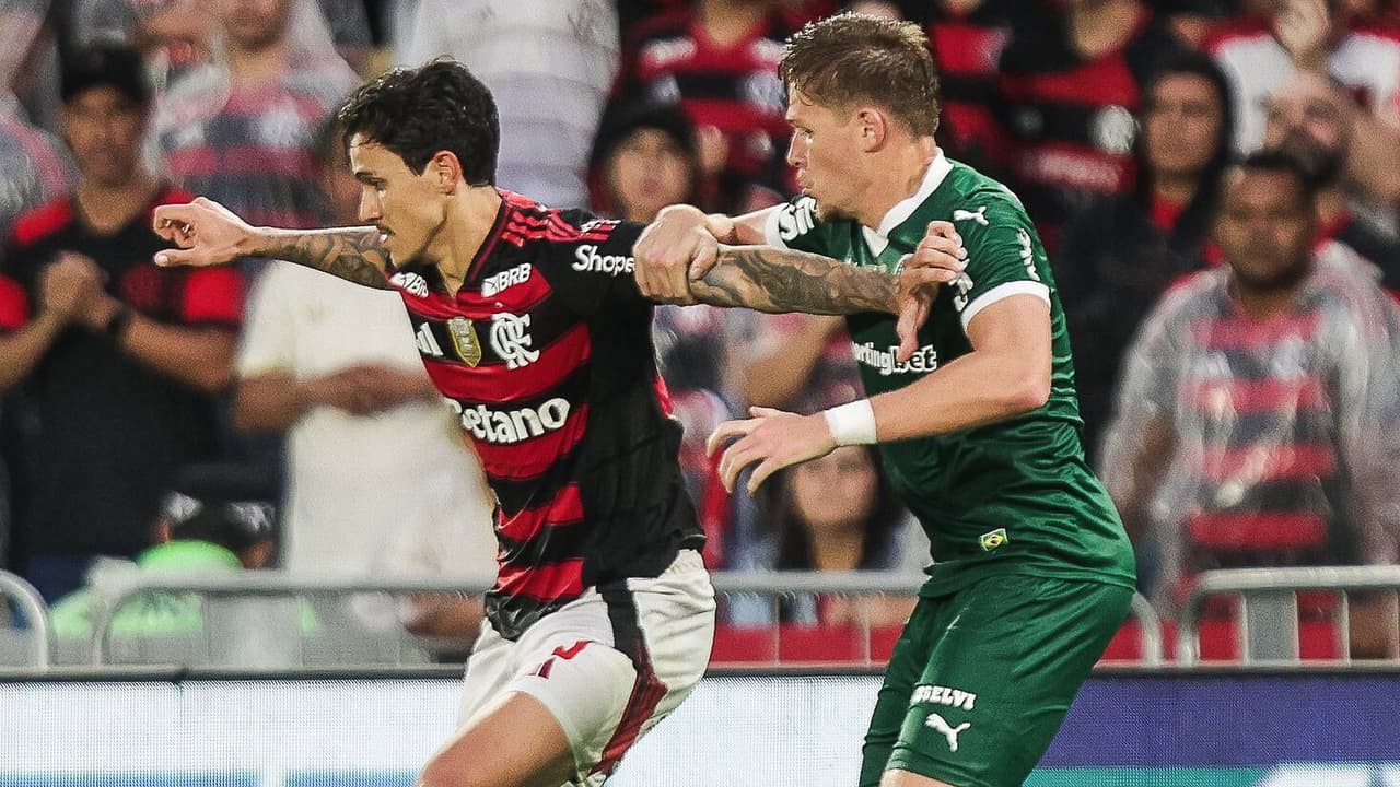 Palmeiras e Flamengo se enfrentam na final da Libertadores: quem leva a taça? Análise de Guffo!