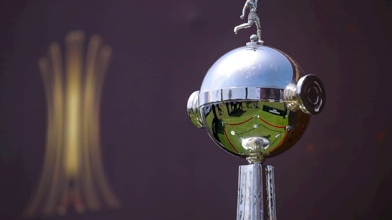 Palmeiras e Flamengo se enfrentam na final da Libertadores, acirrando rivalidade histórica no torneio