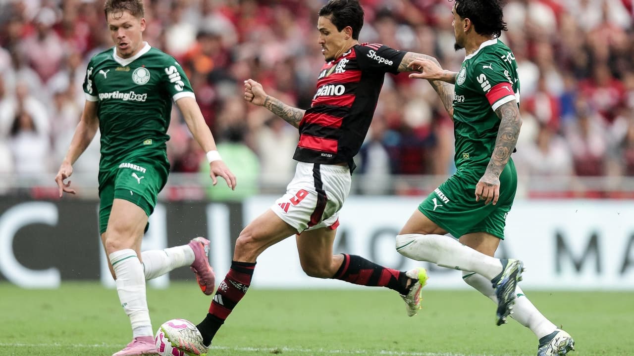 Flamengo e Palmeiras em disputa acirrada: IA projeta o futuro campeão do Brasileirão 2023