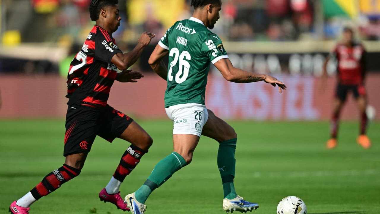 Arbitragem em questão: jornalistas reagem à polêmica em Palmeiras x Flamengo, chamam de 