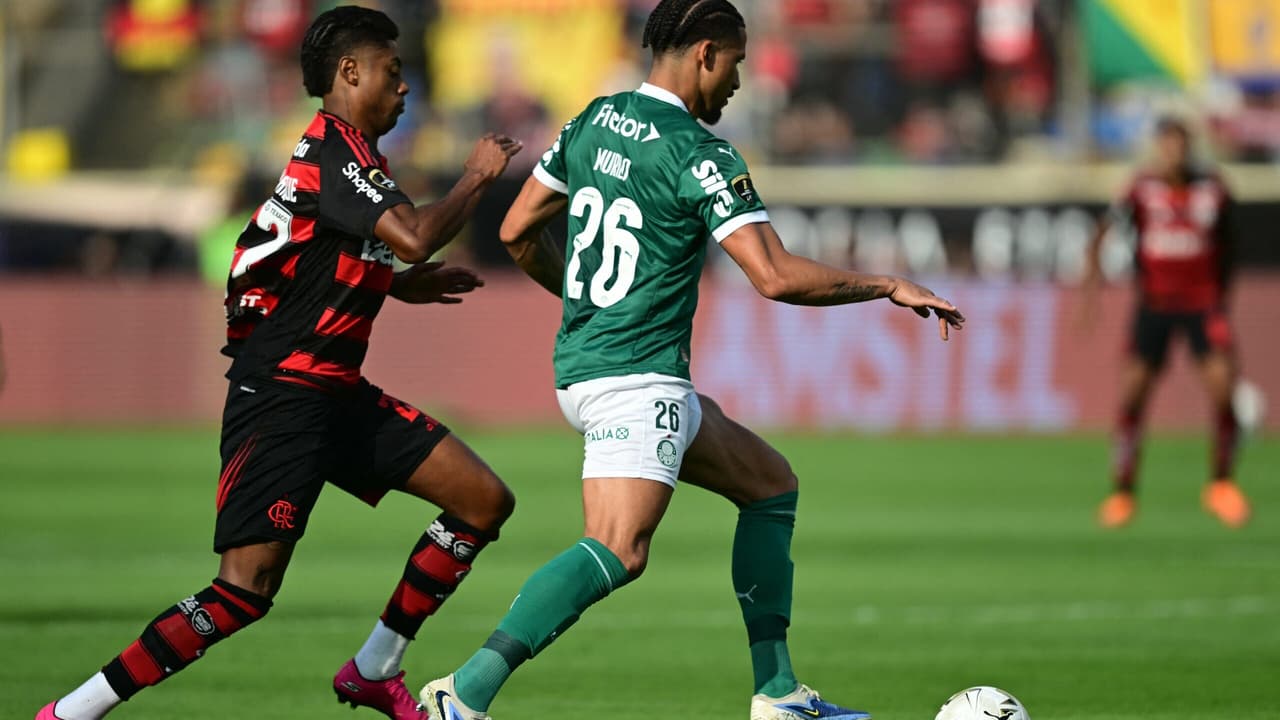 Gol perdido na final: Palmeiras e Flamengo em desespero, torcedores clamam por misericórdia