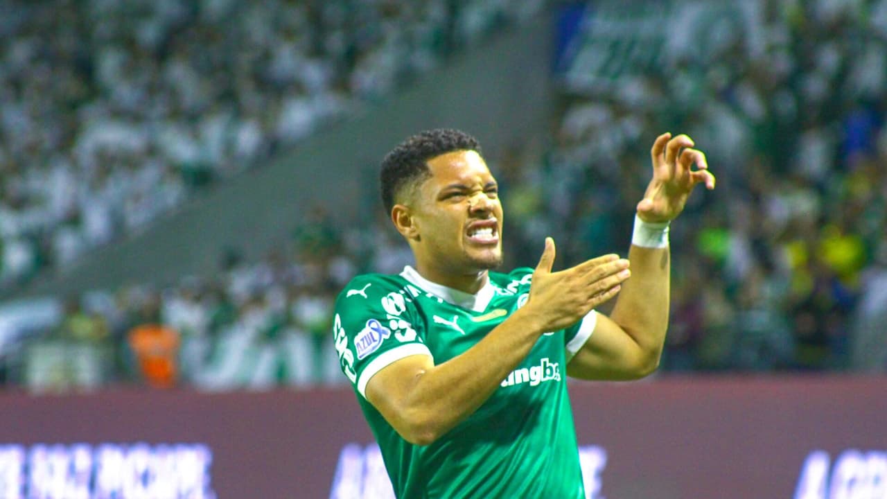 Palmeiras explode de alegria: torcida viraliza em comemoração após vencer o Santos recem-lançado!