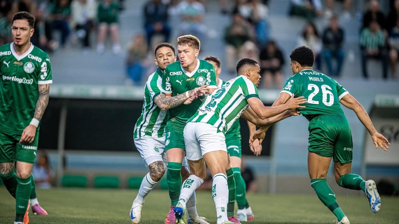 Palmeiras vibra e adota ídolo como 