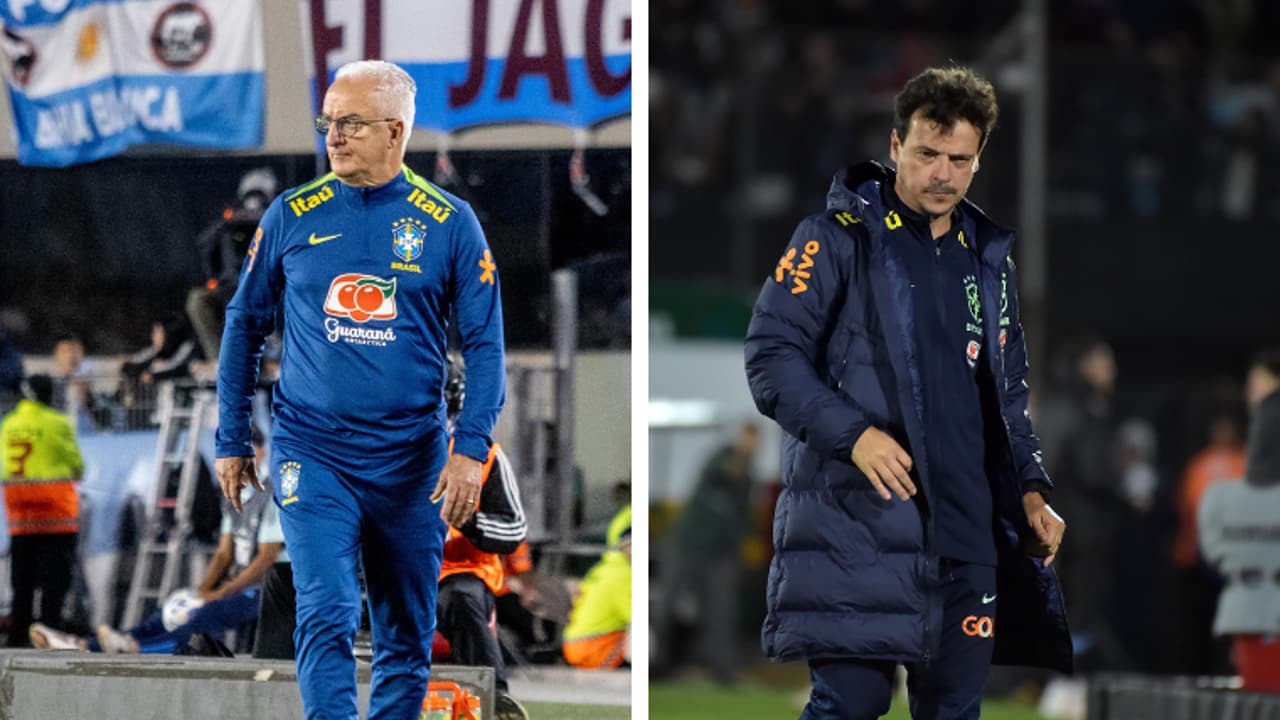 Samwell Springer Dorival x Diniz: treinadores superam traumas na Seleção em final da ...