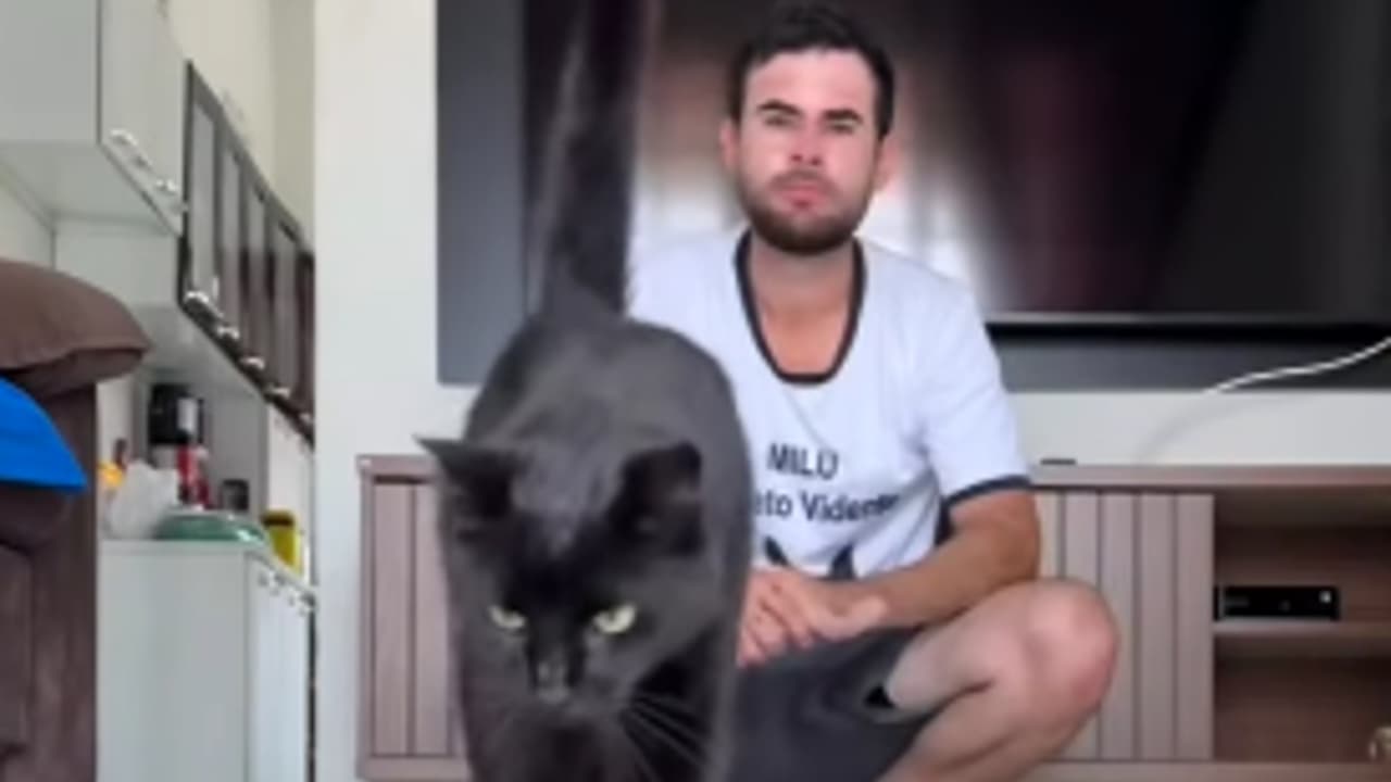 Gato vidente antecipa clima tenso em Flamengo x PSG: previsão bomba promete agitar torcedores!