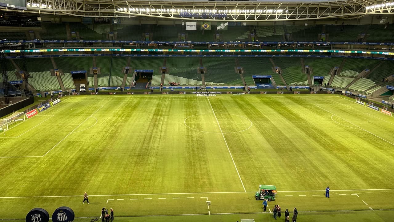 Palmeiras inicia troca de gramado e não terá Allianz Parque para começar a temporada 2024