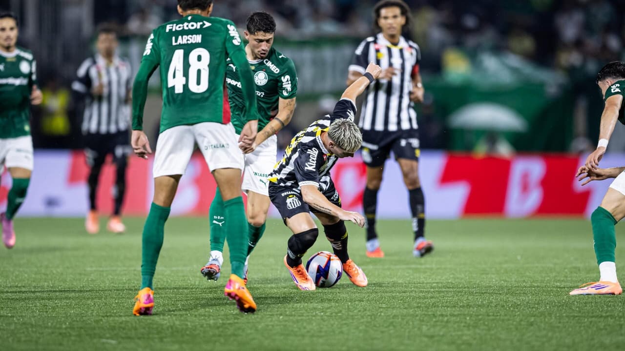 Torcida do Palmeiras reage com fervor ao jogador criticado: 