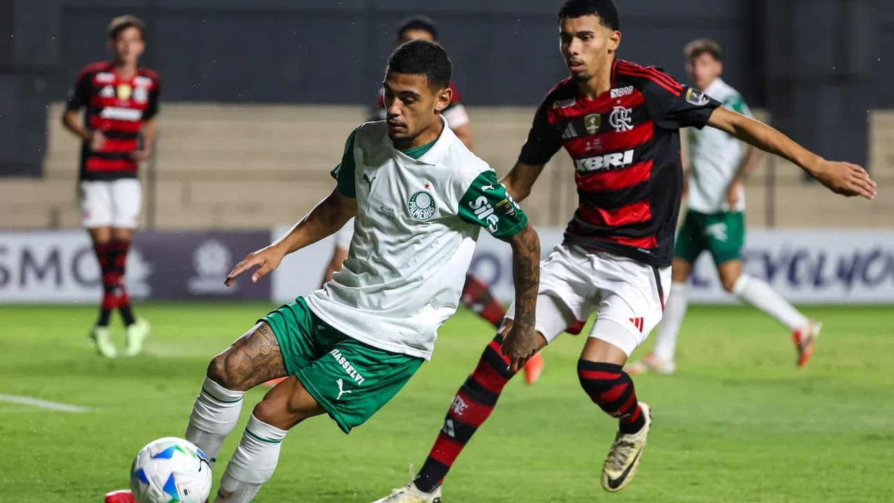 Palmeiras Define Seu Grupo na Libertadores Sub-20 e Pode Enfrentar o Flamengo nas Fases Finais