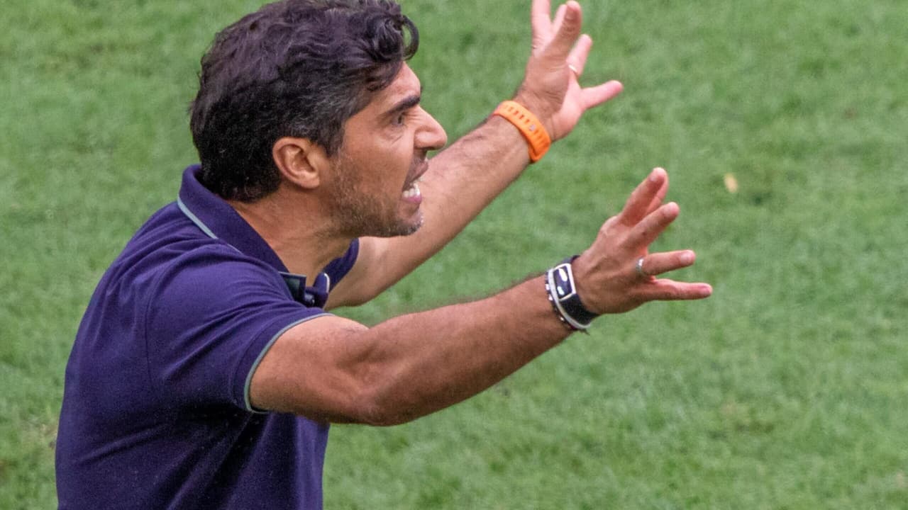 Palmeiras: Análise das Razões que Colocam o Verdão como Favorito nesta Temporada