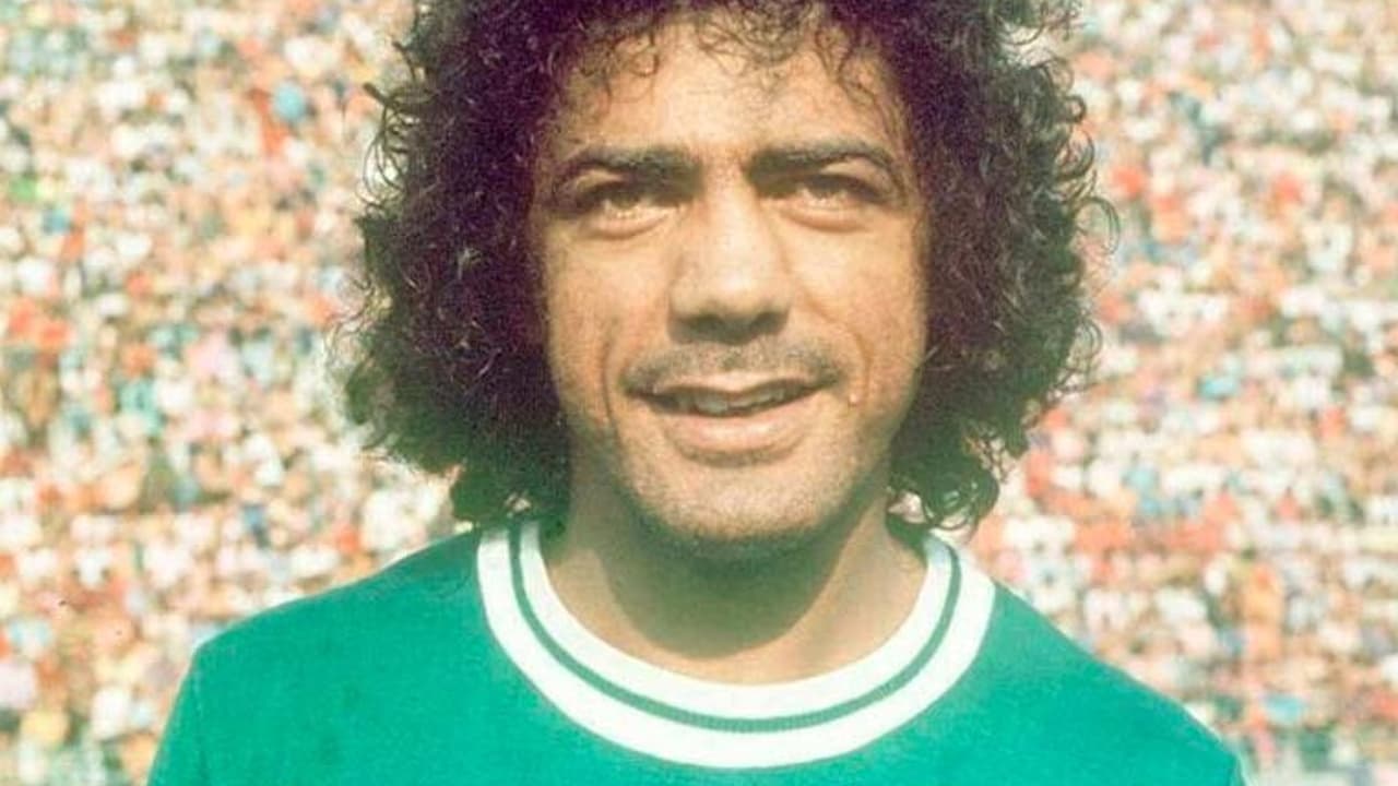 A história de César Maluco no Palmeiras: jogos, gols e estatísticas