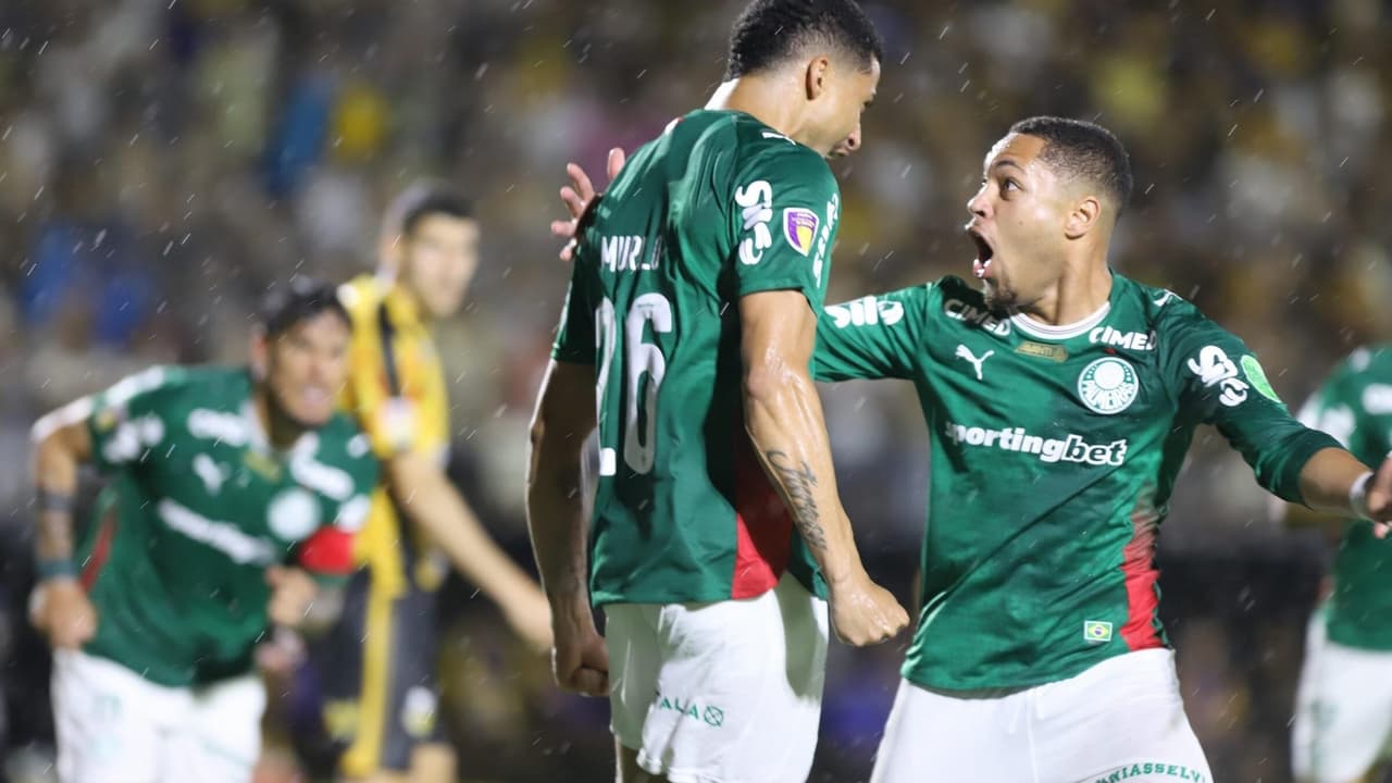 Palmeiras conquista 27º título do Paulistão ao derrotar Novorizontino em grande final