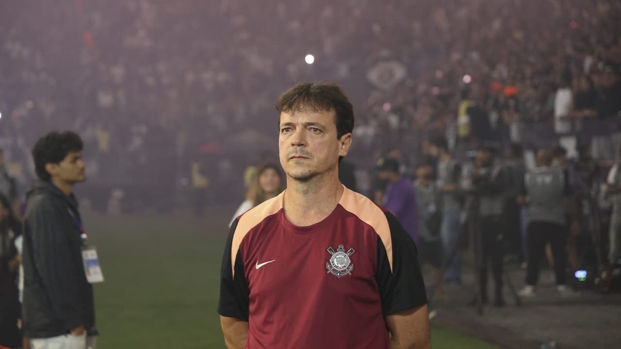 Diniz: Expulsões são 