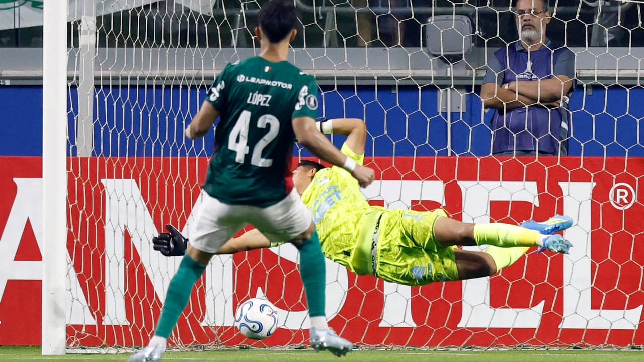 Jornalista discorda de pênalti em Palmeiras x Sporting Cristal: 'Se joga'