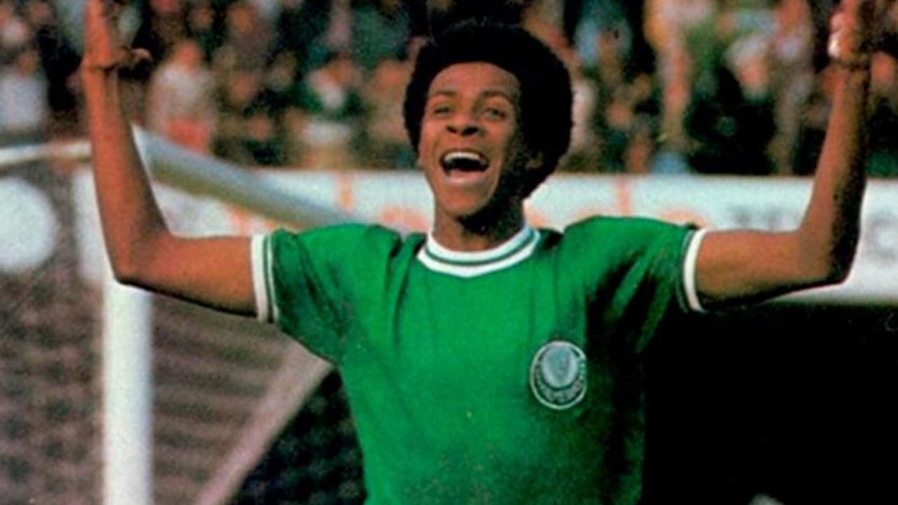 Telê Santana impõe aula tática e Palmeiras goleia o Flamengo no Maracanã em 1979 — Futebol