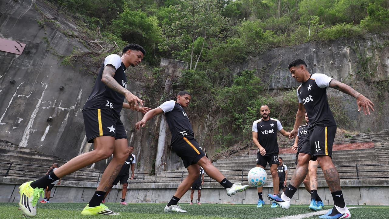 Botafogo busca recuperação e mira o topo do Brasileirão antes da pausa da Copa — Futebol
