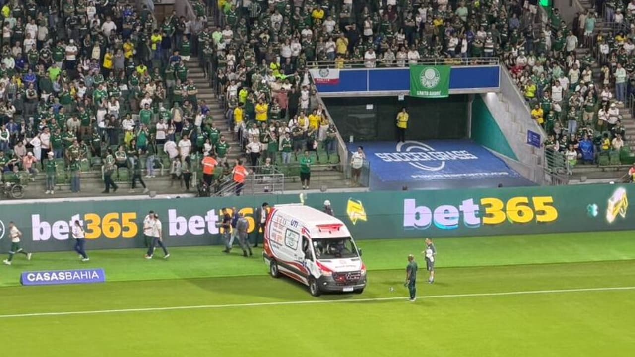 Torcedor do Palmeiras sofre lesão ao tentar invadir o gramado durante jogo