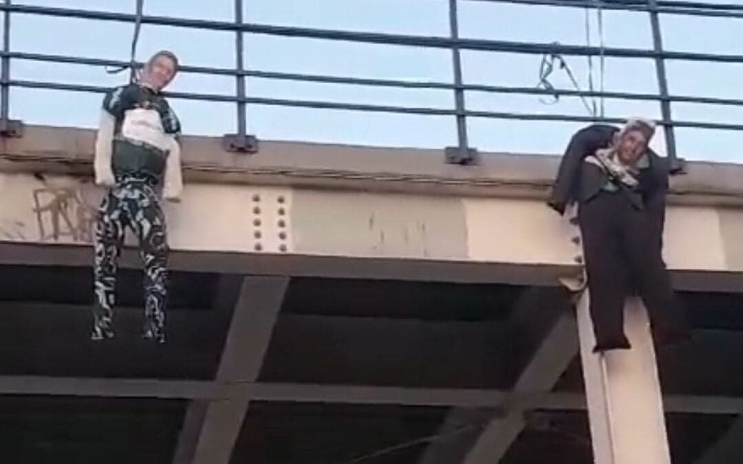 Botafogo enfrenta Palmeiras e torcedores fazem protesto contra Leila Pereira.