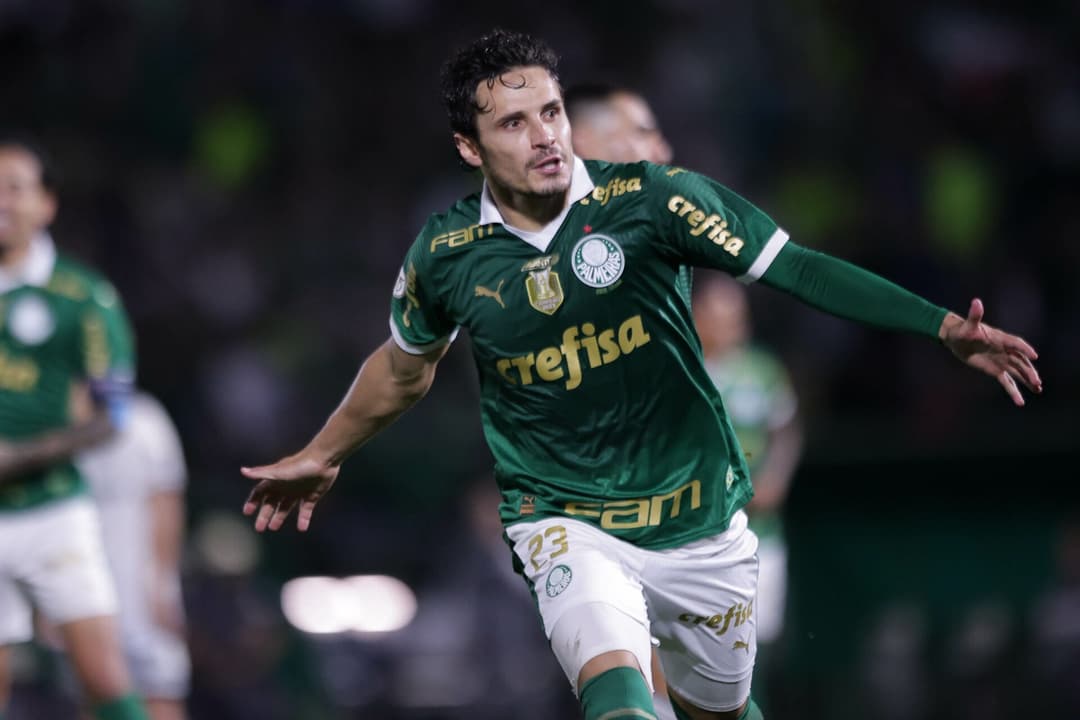 Veiga palmeiras x ATlético-MG 2809