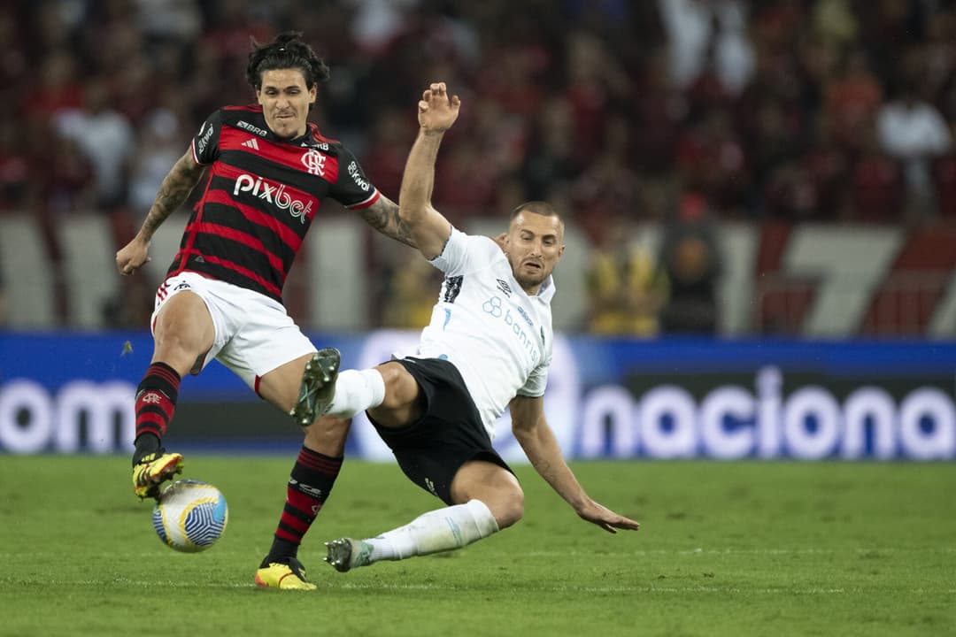 BRASILEIRO A 2024, FLAMENGO x GREMIO