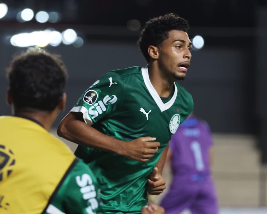 Luighi Palmeiras