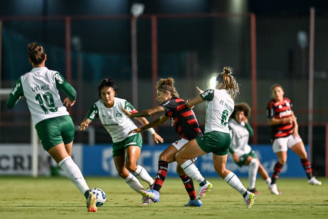 Palmeiras vence o Flamengo pelo Brasileirão Feminino (Foto: Divulgação/CBF)