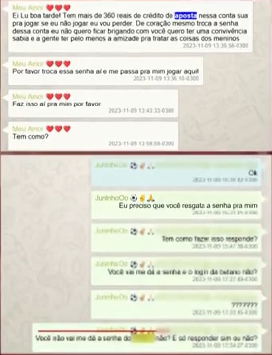 conversa irmão bruno henrique ludmila