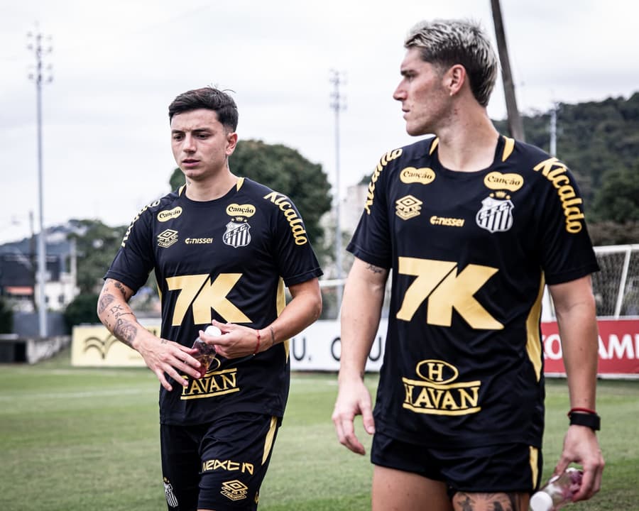 Santos se prepara para retornar aos gramados após pausa (Foto: Fotos: Raul Baretta/ Santos FC)