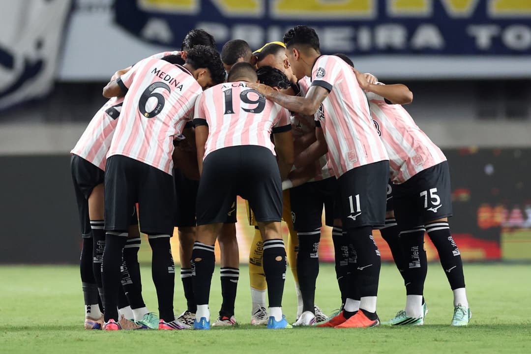 Botafogo segue em crise na temporada