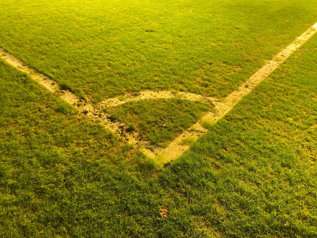 Maracanã inicia tratamento para recuperação do gramado; veja imagens exclusivas do campo - Lance!