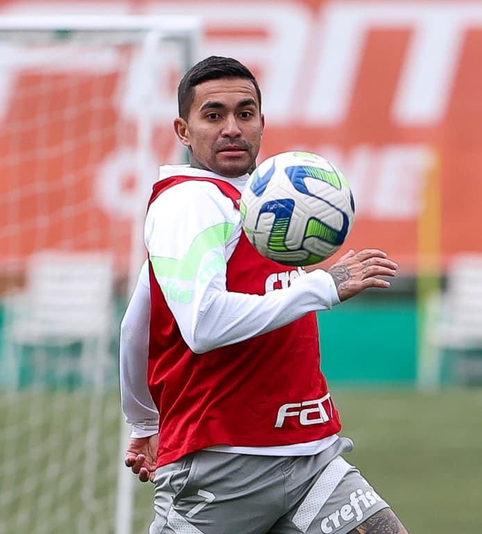 Divisão de opiniões entre torcedores de Palmeiras e Cruzeiro sobre Dudu.