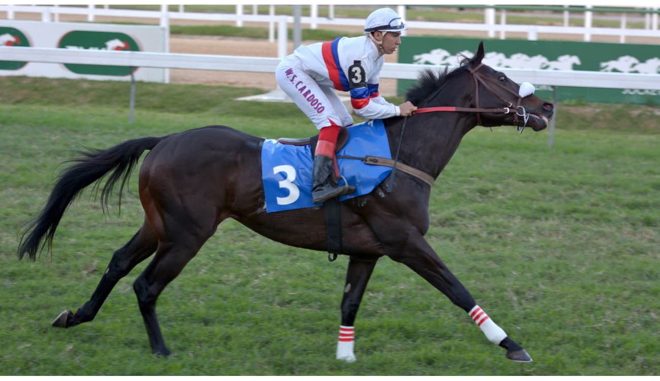 Jockey Club Brasileiro - Grande Prêmio Brasil 2014 