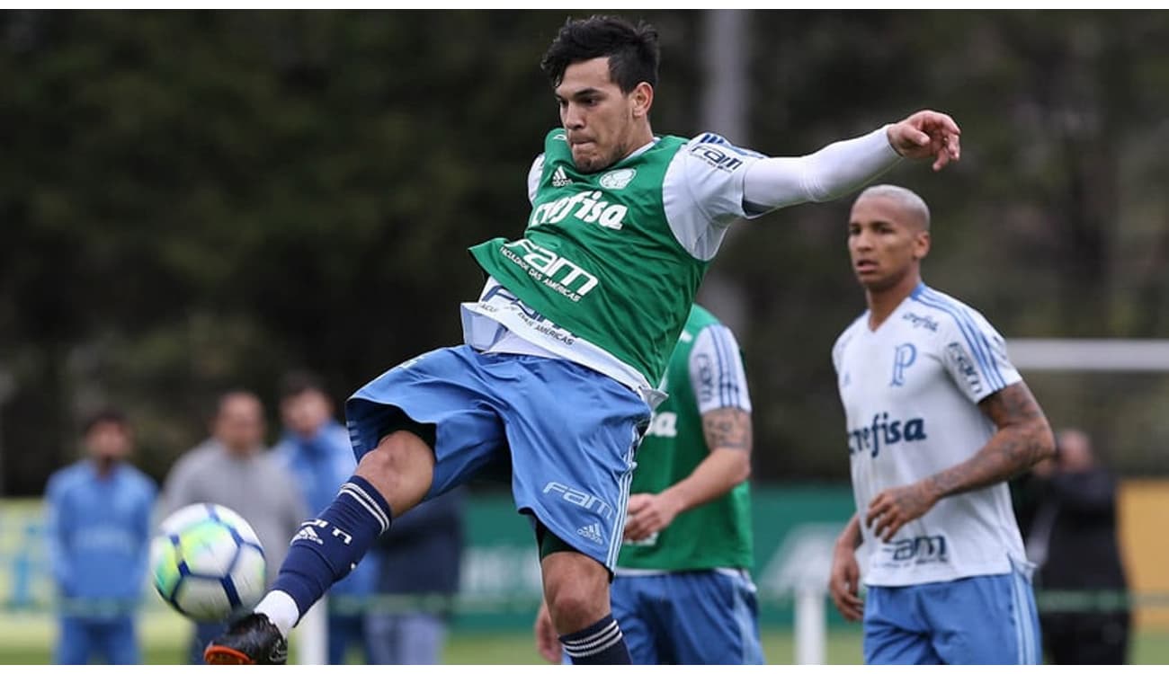 Incansável? Gustavo Gómez foi titular em todos os últimos 15 jogos do  Palmeiras - Lance!