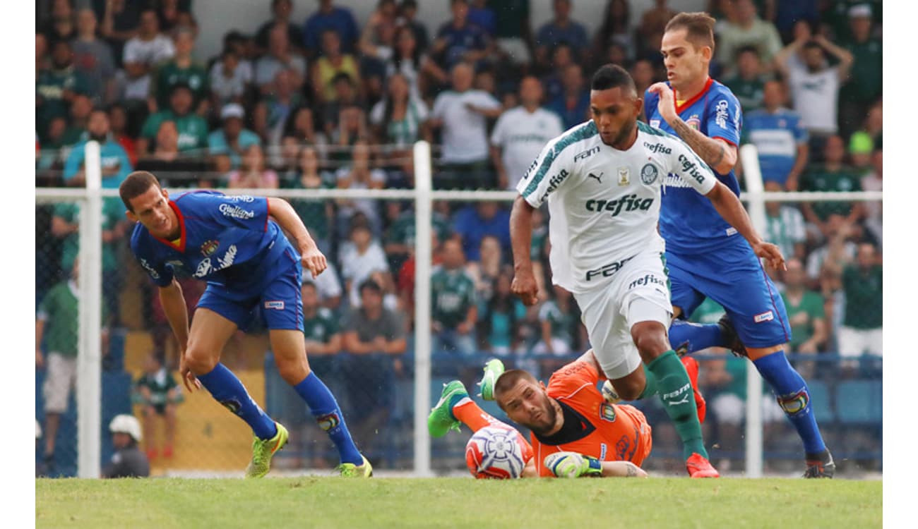 Onde assistir Palmeiras x São Caetano AO VIVO pelo Campeonato Paulista