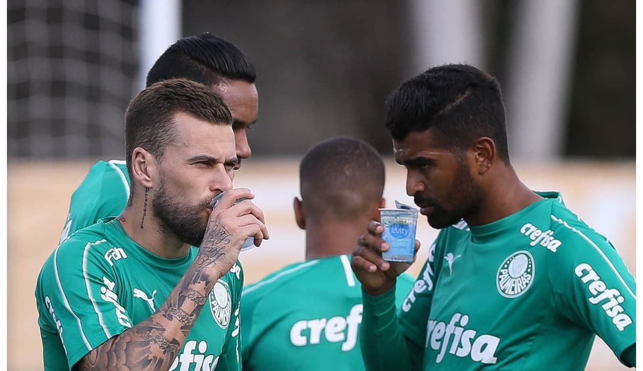 Palmeiras e Bebidas Poty renovam parceria e anunciam A9 como nova água  mineral oficial do clube – Palmeiras