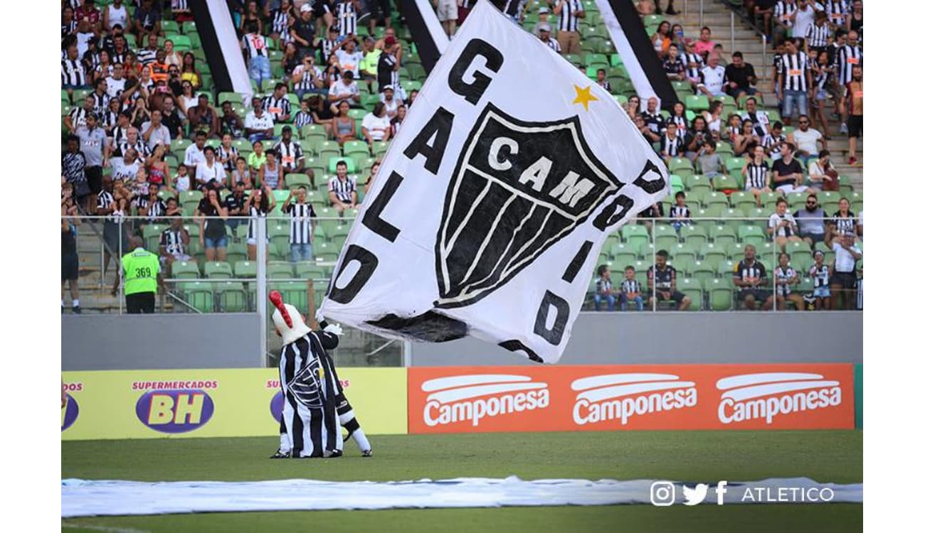 Loja do Galo Sion  Belo Horizonte MG