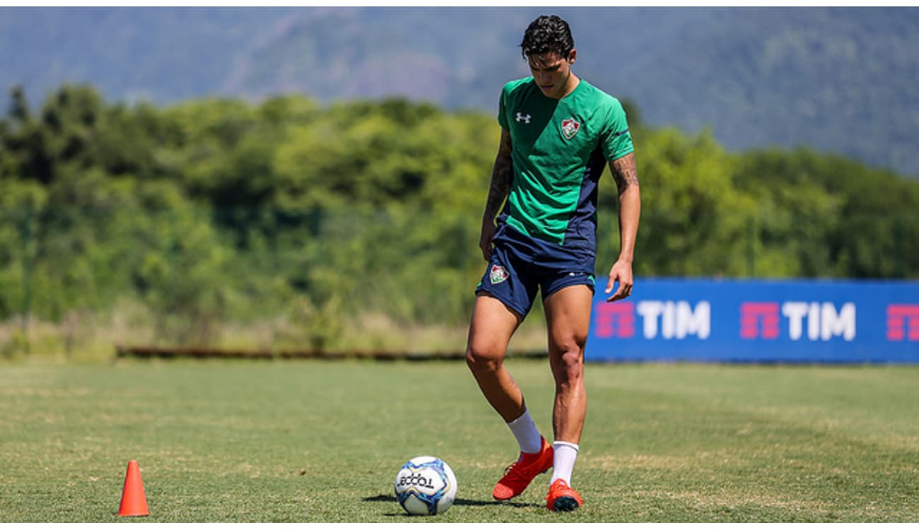 Ex-Flamengo pede para Diniz se decidir entre Seleção ou Fluminense