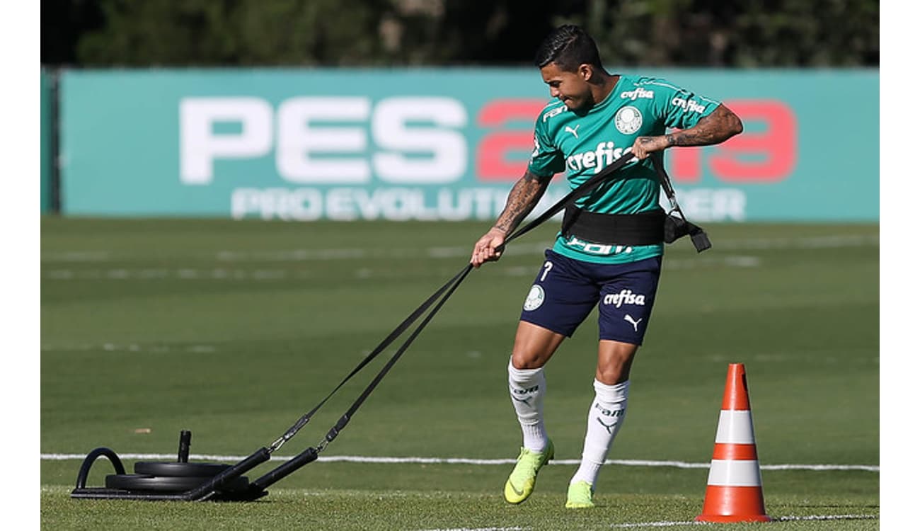 38 vezes Dudu! Atacante participou de todos os jogos do Palmeiras no  Brasileirão