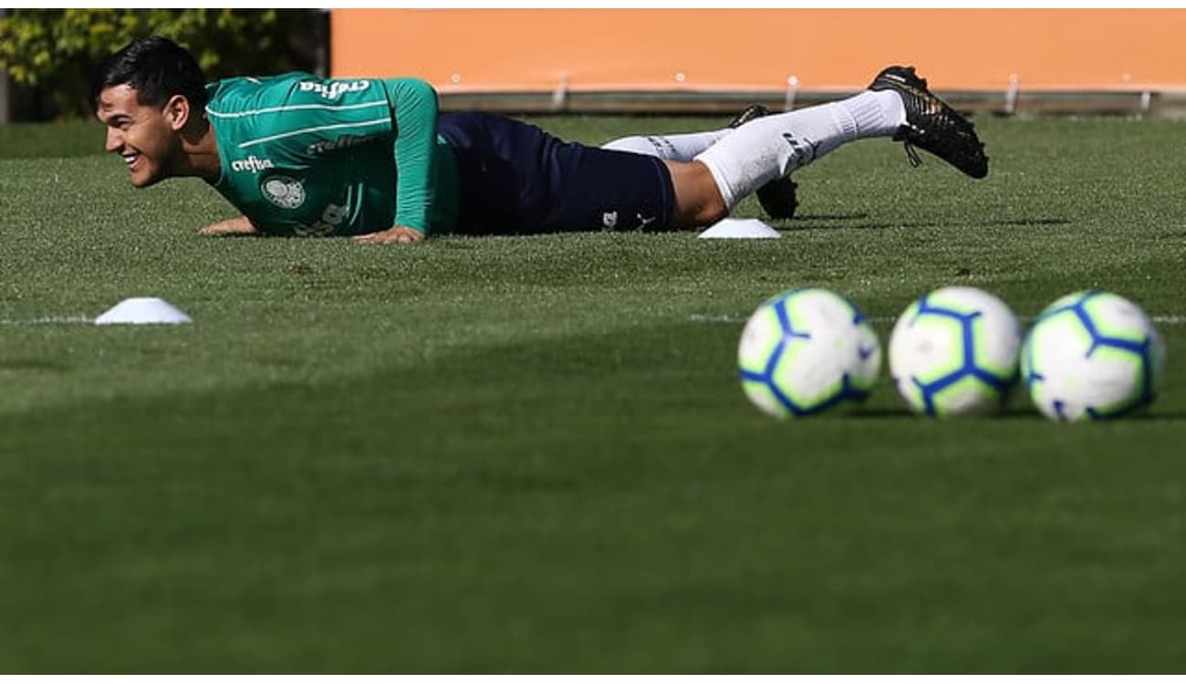 Incansável? Gustavo Gómez foi titular em todos os últimos 15 jogos do  Palmeiras - Lance!