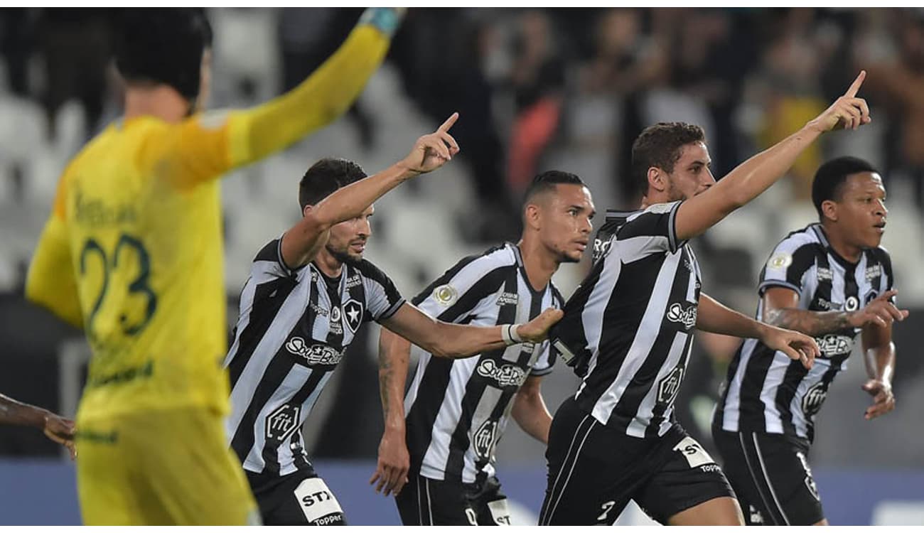 Contra o Goiás, Botafogo atingirá número histórico de público no Nilton  Santos em jogos pelo Brasileirão - Lance - R7 Futebol