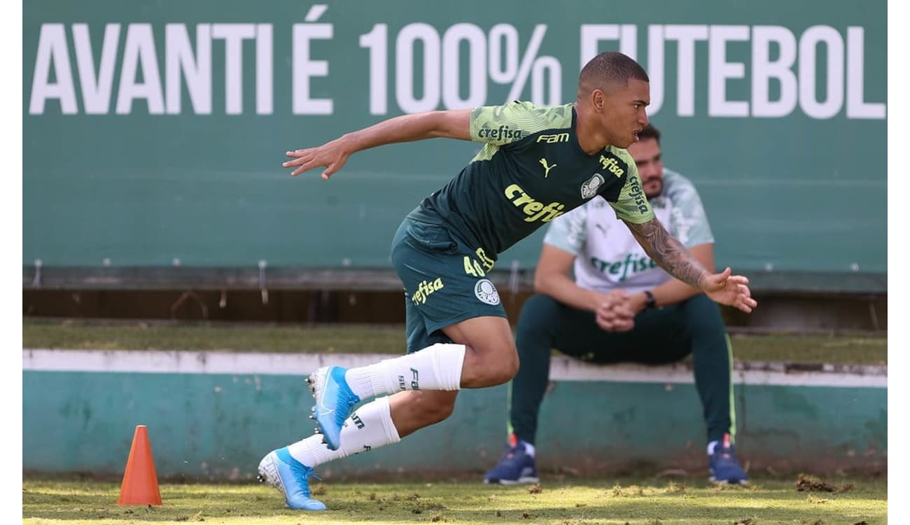 Equipe feminina do Palmeiras ultrapassa a marca de 100 gols em 2022 e vive  grande temporada - Lance!