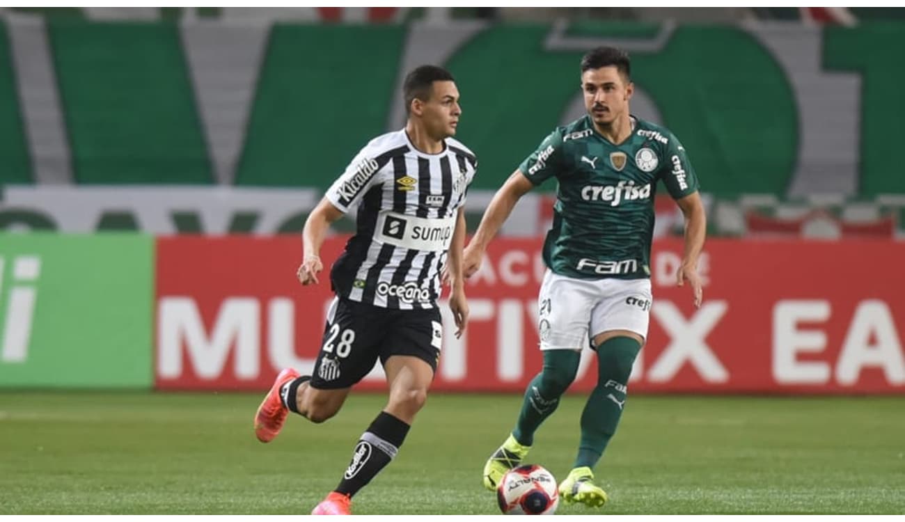 Regulamento e tabela do Paulista Feminino estão definidos ~ O Curioso do  Futebol