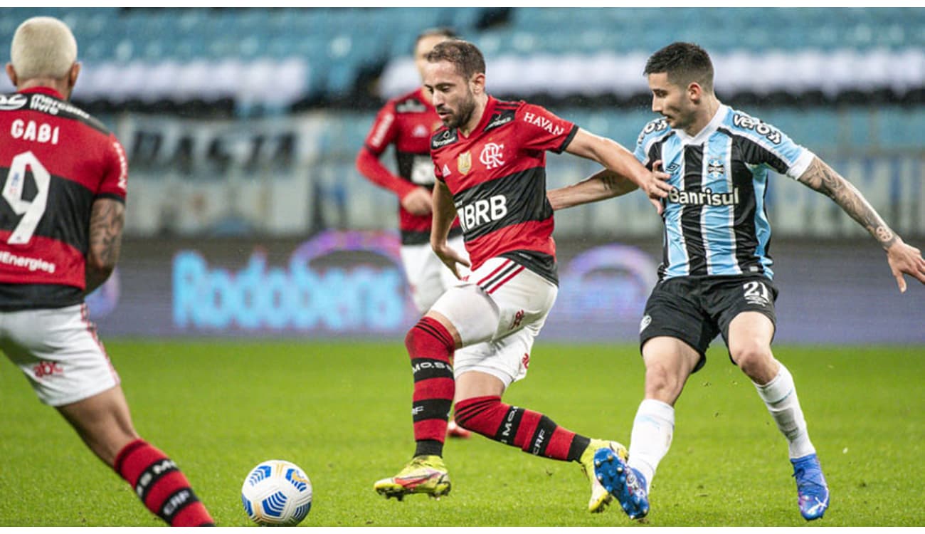 Gato invade Maracanã e rouba a cena em Flamengo x Grêmio; veja