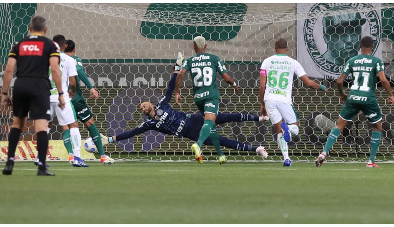 Palmeiras se iguala em pontos com o líder do Brasileiro e joga pressão no  Botafogo; simule os jogos, palmeiras