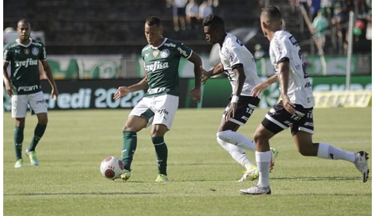 Assistir Palmeiras x Inter de Limeira ao vivo Grátis HD 29/04/2021