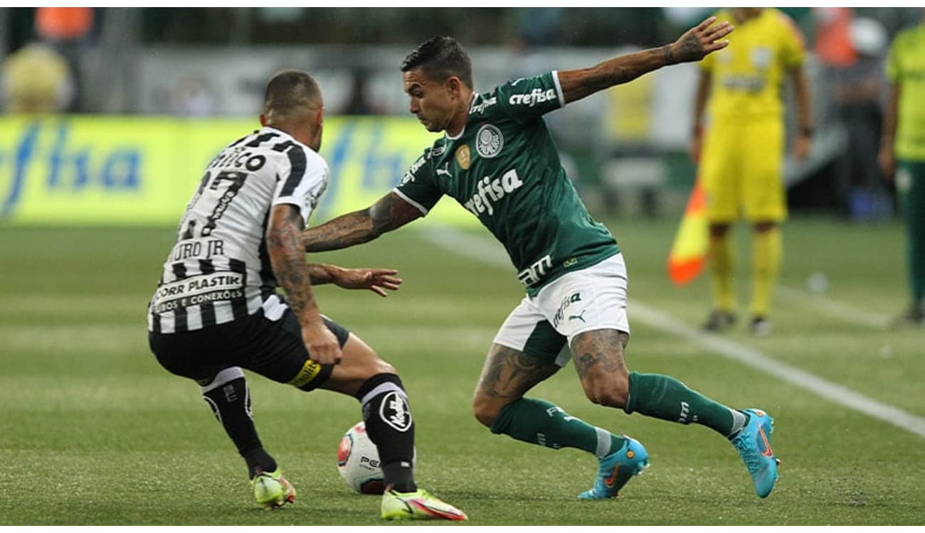 Santos x Palmeiras ao vivo e online, onde assistir, que horas é, escalação e  mais do Brasileirão