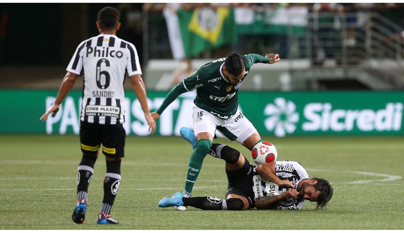 Palmeiras vence o Santos e conquista o Campeonato Paulista