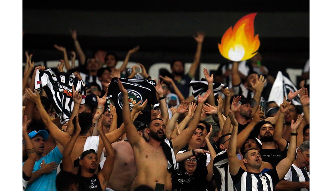 botafogo #torcida #brasileirao #futebolbrasileiro