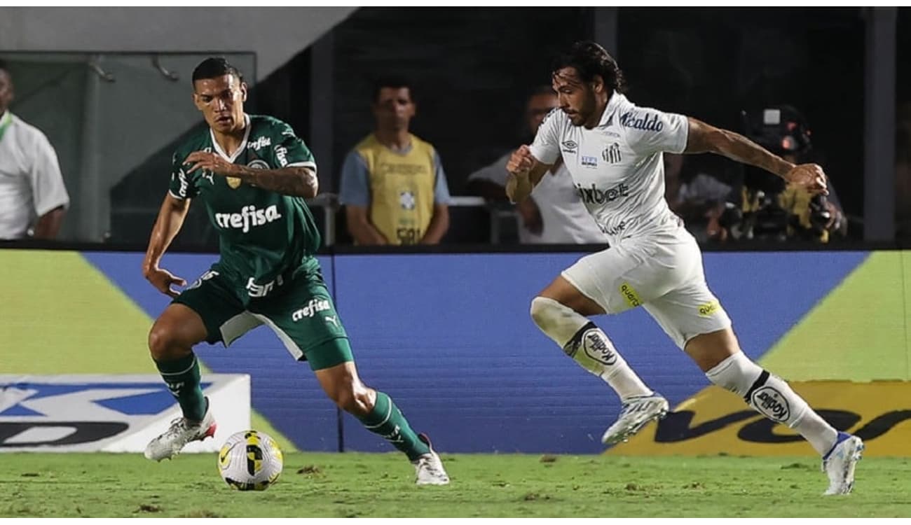 Base forte: Crias da Academia têm participação direta na conquista da  Libertadores – Palmeiras