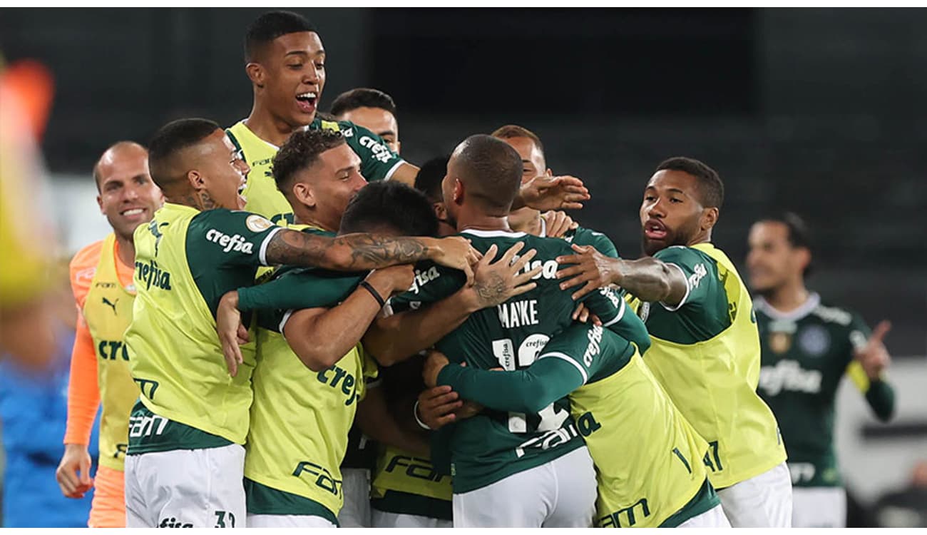 Palmeiras busca virada histórica contra o líder Botafogo em jogo de sete  gols - Placar - O futebol sem barreiras para você